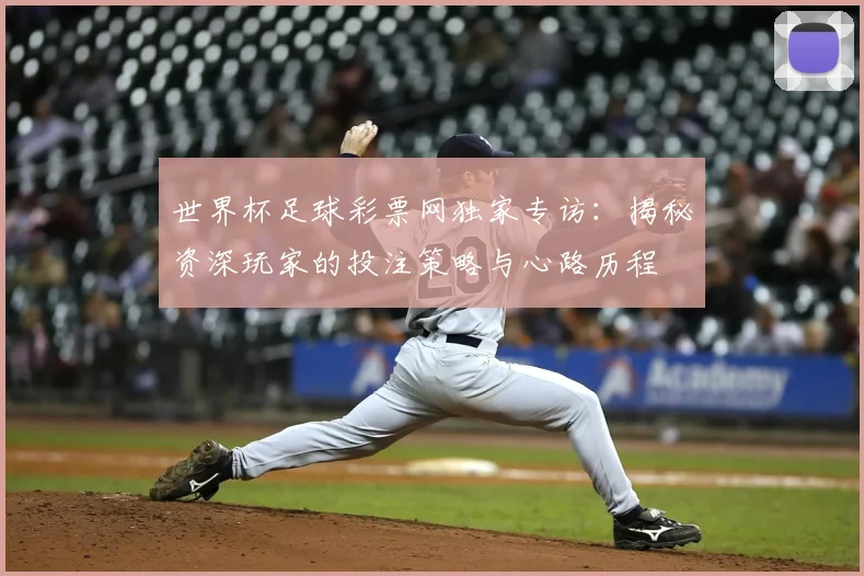 世界杯足球彩票网独家专访:揭秘资深玩家的投注策略与心路历程