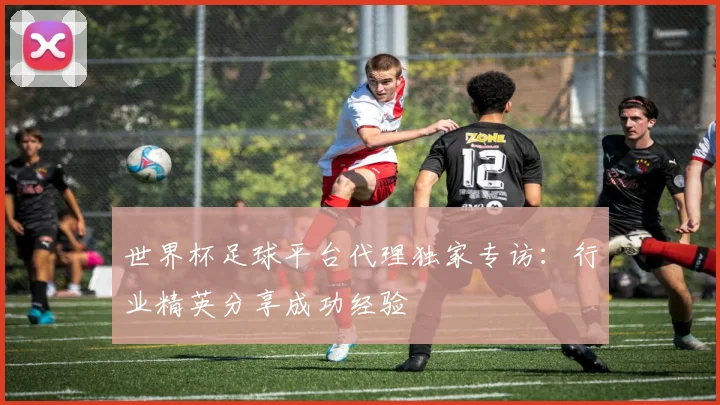 世界杯足球平台代理独家专访:行业精英分享成功经验