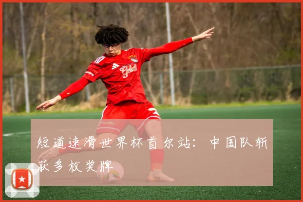 短道速滑世界杯首尔站：中国队斩获多枚奖牌