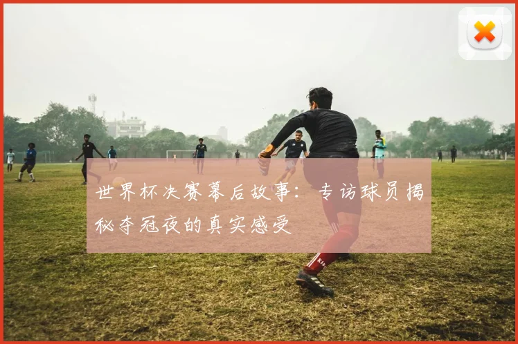 世界杯决赛幕后故事：专访球员揭秘夺冠夜的真实感受
